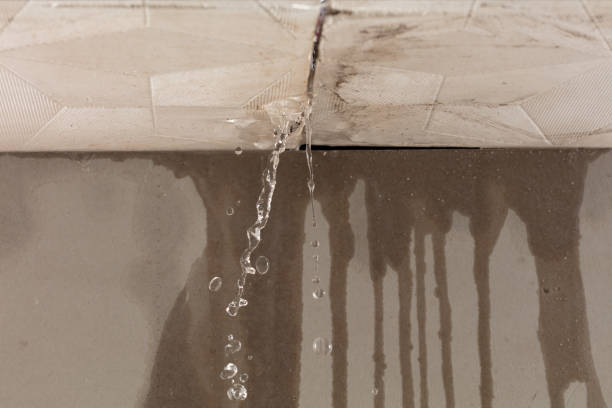 Professional Water Damage Inspection technician working in Bryant, WA